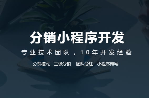分銷軟件系統(tǒng)有哪些功能？