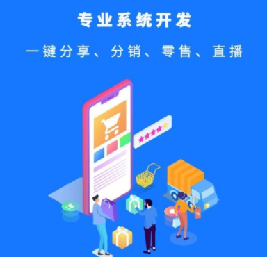企業(yè)如何選擇分銷系統(tǒng)開發(fā)公司？
