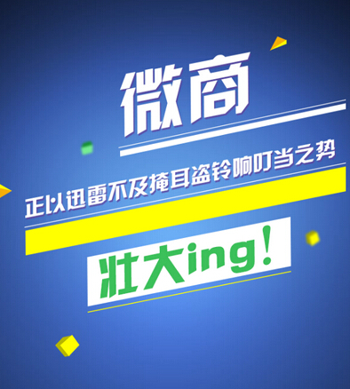 微商分銷系統(tǒng)的組成要素有哪些